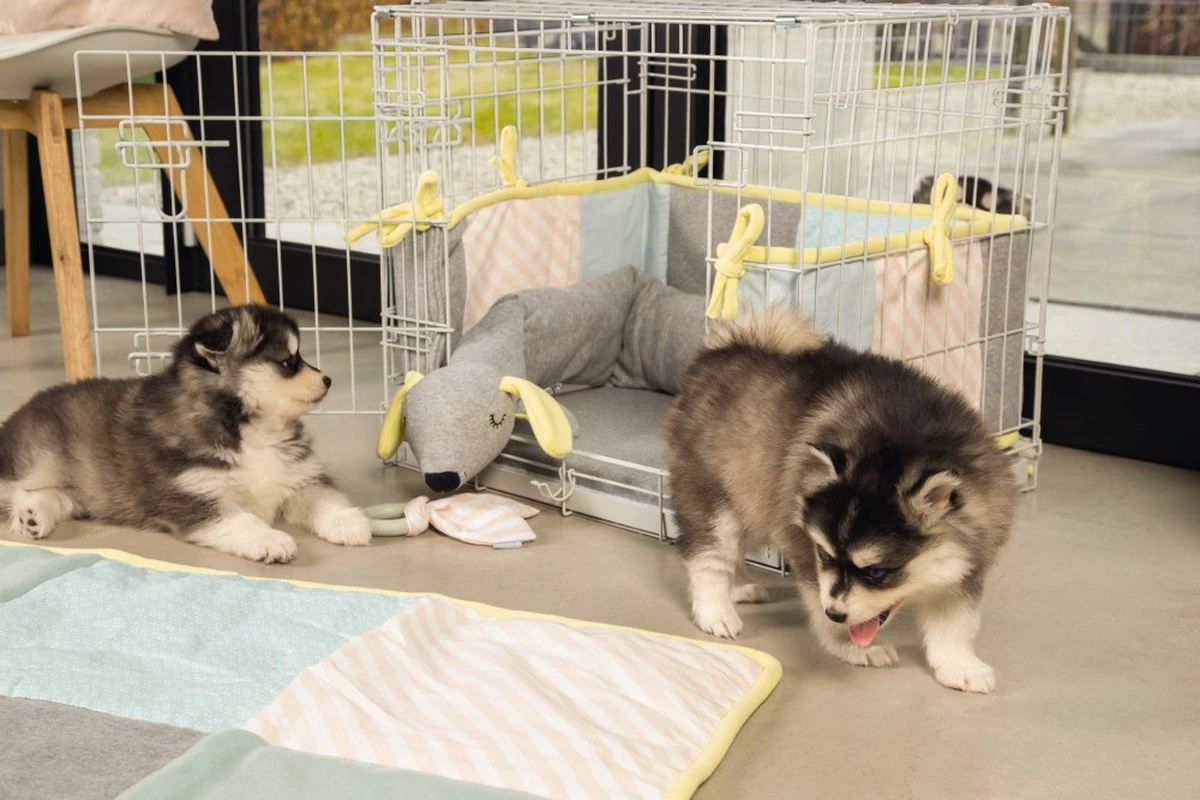 Beeztees Puppy Cosy Doggy - Hondenspeelgoed - Grijs - 120x12x9,5 Cm 4 Beeztees Puppy Cosy Doggy - Hondenspeelgoed - Grijs - 120x12x9,5 Cm - Afbeelding 4