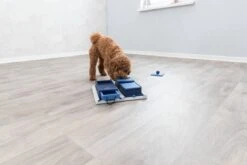 Trixie Dog Activity Poker Box 1 - 31X31 CM -Huisdierbenodigdheden 1200x800 137