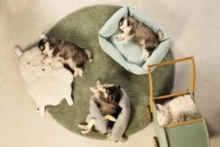 Beeztees Puppy Sjiepo - Hondenspeelgoed - Wit - 40x22x5 Cm -Huisdierbenodigdheden 1200x800 140