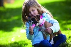 Kong Puppy - Kauwbot Hondenspeelgoed Small - Kauwbot - 85mm X 42mm - Groen/Wit -Huisdierbenodigdheden 1200x800 143