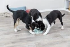 Trixie Junior Likplaat Mintgroen - 21X21 CM -Huisdierbenodigdheden 1200x800 154