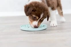 Trixie Junior Likplaat Mintgroen (15X15 CM) -Huisdierbenodigdheden 1200x800 163