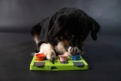 Eat Slow Live Longer Puzzel Rectangle – Intelligentie Speelgoed Voor Honden – Interactief Hondenspeelgoed – Uitdagende Hondenpuzzel – Gerecyclede Materialen – Te Vullen Met Snacks - 25x26x5 Cm - Groen -Huisdierbenodigdheden 1200x800 171