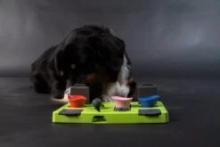 Eat Slow Live Longer Puzzel Rectangle – Intelligentie Speelgoed Voor Honden – Interactief Hondenspeelgoed – Uitdagende Hondenpuzzel – Gerecyclede Materialen – Te Vullen Met Snacks - 25x26x5 Cm - Groen -Huisdierbenodigdheden 1200x800 173