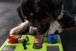 Eat Slow Live Longer Puzzel Rectangle – Intelligentie Speelgoed Voor Honden – Interactief Hondenspeelgoed – Uitdagende Hondenpuzzel – Gerecyclede Materialen – Te Vullen Met Snacks - 25x26x5 Cm - Groen -Huisdierbenodigdheden 1200x800 174