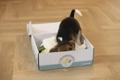 Merkloos Beeztees Puppy Cadeaupakket - Puppy Pakket - Leuke Box Met Puppy Speelgoed En Snacks -Huisdierbenodigdheden 1200x800 197