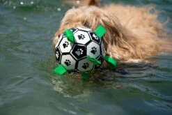 Honden Speelgoed Bal Voetbal Extra Sterk Met Handvaten Ball Hondenbal - 15 Cm - Dutchwide -Huisdierbenodigdheden 1200x800 213