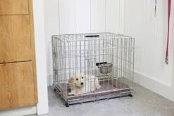 Adori Draadkooi Bench 2 Deurs De Luxe - Verzinkt - M: 92 X 57 X 64 Cm -Huisdierbenodigdheden 1200x800 253