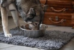 Royal Dry Absorberende Anti-knoeimat Voor Honden – Trekt Vuil Als Een Spons – Laat Geen Vocht Door – 61x45 Cm – Microfiber Chenille – Geschikt Voor Honden En Overige Huisdieren -Huisdierbenodigdheden 1200x800 270