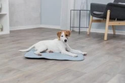 Trixie Junior Ligmat Fresh Lichtblauw - 60X50 CM 17 Trixie Junior Ligmat Fresh Lichtblauw - 60X50 CM -Huisdierbenodigdheden 1200x800 274