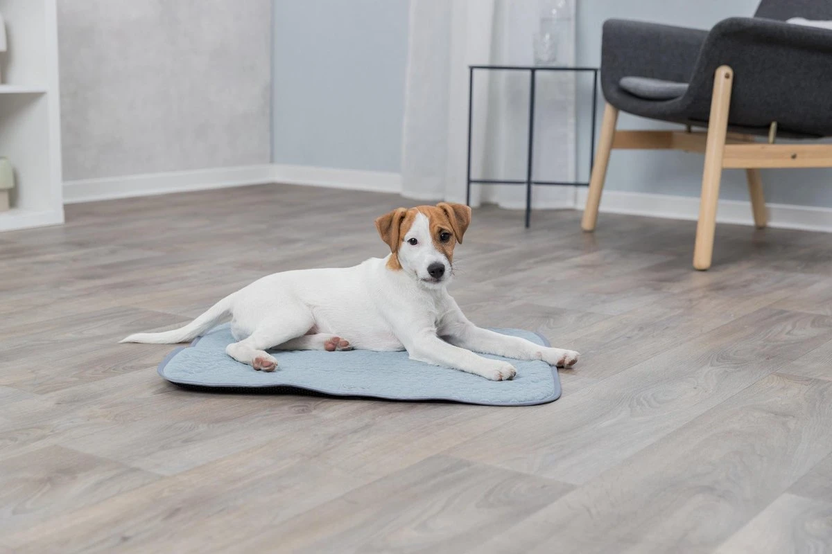 Trixie Junior Ligmat Fresh Lichtblauw - 60X50 CM 6 Trixie Junior Ligmat Fresh Lichtblauw - 60X50 CM - Afbeelding 6