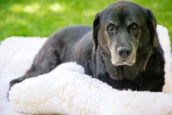 HuggleHounds - Wasbare Fleece Hondenmat Van Lamswol Voor Benches Of Als Los Kussen - In Naturel Of Grijs - S/M/L/XL/XXL - Grijs - S 23 HuggleHounds - Wasbare Fleece Hondenmat Van Lamswol Voor Benches Of Als Los Kussen - In Naturel Of Grijs - S/M/L/XL/XXL - Grijs - S -Huisdierbenodigdheden 1200x800 302