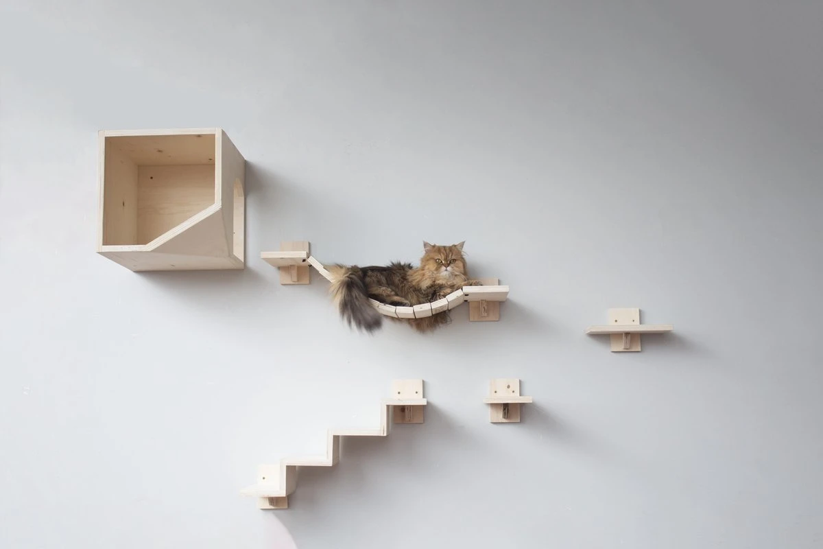 Plankjes Voor De Kat - Kattenplankjes - Muurplankjes - Klimmuur Kat - Katten Klimmuur - Loopplankjes Kat - Kattenmuur - Katten Klimwand - Huisje Rechts 7 Plankjes Voor De Kat - Kattenplankjes - Muurplankjes - Klimmuur Kat - Katten Klimmuur - Loopplankjes Kat - Kattenmuur - Katten Klimwand - Huisje Rechts - Afbeelding 7