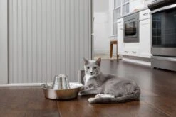 PetSafe® Seaside Stainless Steel Pet Fountain - RVS Drinkfontein Voor Katten En Kleine Honden - Water Borrelt Zacht Over De Toren - Door Het Design Van Alle Kanten Bereikbaar - 1,8 Liter - PetSafe Seaside -Huisdierbenodigdheden 1200x800 319