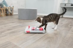 Trixie Cat Activity Brain Mover - 25 X 20 Cm -Huisdierbenodigdheden 1200x800 326