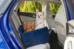 Velvet Blue - Autostoel Voor Hond - 57x50cm - Wasbaar - Hondenmand Auto - Handgemaakt 14 Velvet Blue - Autostoel Voor Hond - 57x50cm - Wasbaar - Hondenmand Auto - Handgemaakt -Huisdierbenodigdheden 1200x800 37