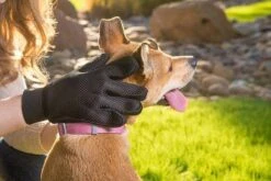 Merkloos Vachtverzorgingshandschoen 36 Merkloos Vachtverzorgingshandschoen -Huisdierbenodigdheden 1200x800 4