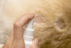 Petoxil Pet Spray Met Colloïdaal Zilver Is Speciaal Ontworpen Voor Gebruik Op Alle (huis) Dierensoorten. Revolutionair In Hygiëne -Huisdierbenodigdheden 1200x800 5