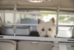 Petego - Afweermiddel Auto Rek Zilver -Huisdierbenodigdheden 1200x800 59