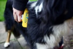 Furminator® Hond Langhaar - Vermindert Haaruitval Tot 90% - Hondenborstel - L -Huisdierbenodigdheden 1200x800 6