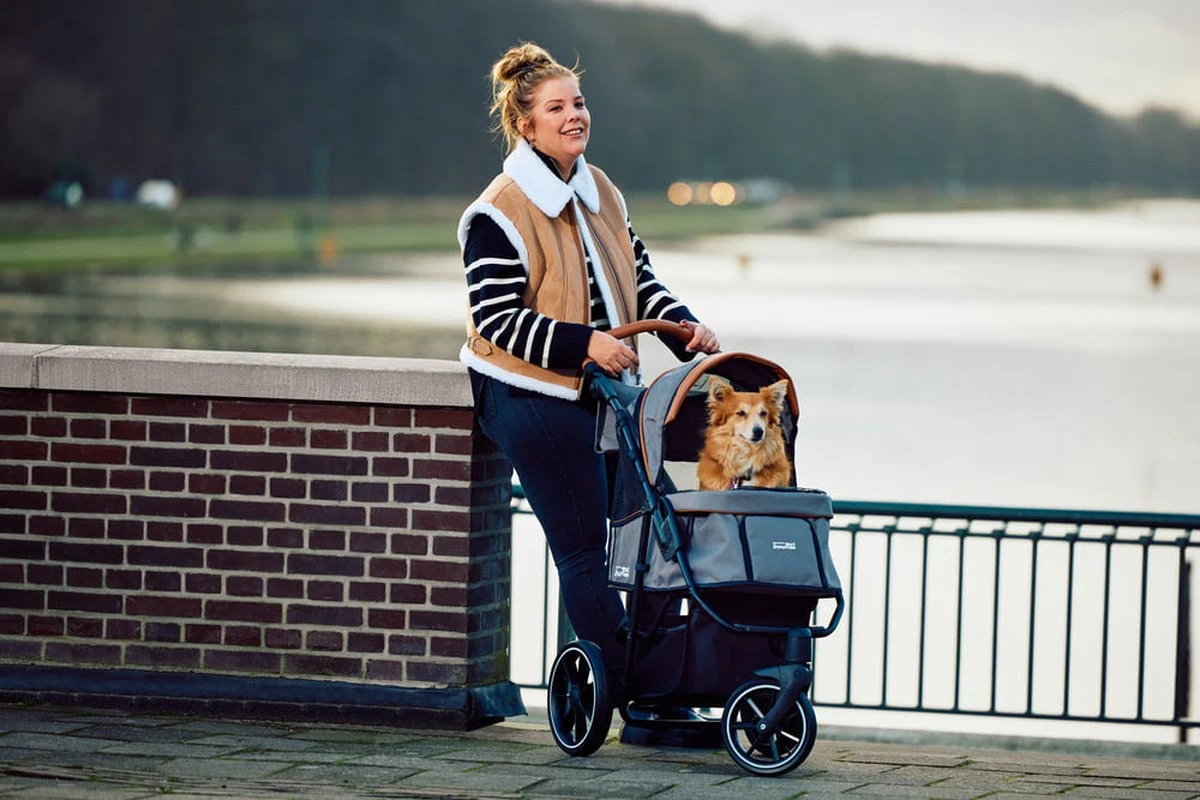 Innopet Hondenbuggy - Premium Cozy - Beige 6 Innopet Hondenbuggy - Premium Cozy - Beige - Afbeelding 6