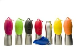 KONG H2O 740 Ml Rvs Waterfles Zwart -Huisdierbenodigdheden 1200x801 11