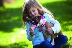 Kong Puppy - Hondenspeelgoed - Assorti - L -Huisdierbenodigdheden 1200x801 14