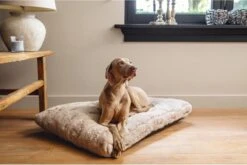 Designed By Lotte Hondenkussen Pluche Xanti Beige 100 X 68 X 5 Cm 6 Designed By Lotte Hondenkussen Pluche Xanti Beige 100 X 68 X 5 Cm -Huisdierbenodigdheden 1200x804 9