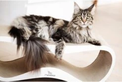 MyKotty LUI - Krabpaal - Wit - 75 X 25 Cm -Huisdierbenodigdheden 1200x806 15