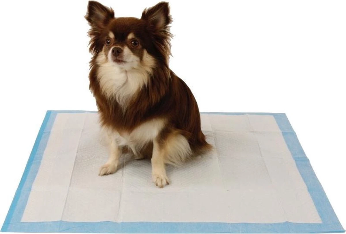 Easypets Puppy Training Pads - Zindelijkheidstraining - Hondentoilet - 58 X 58 Cm - 105 Stuks 4 Easypets Puppy Training Pads - Zindelijkheidstraining - Hondentoilet - 58 X 58 Cm - 105 Stuks - Afbeelding 4