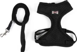 Kattenharnas - Harnas Voor Katten - Kattentuigje Met Looplijn - Zwart -Huisdierbenodigdheden 1200x815 16