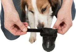 Trixie Walker Active Pootbescherming - Hondenschoenen - L/XL - Zwart - 2 Stuks -Huisdierbenodigdheden 1200x819 1