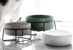 GIZMO 2x Voerbak Kat - 400 Ml - Groen - Keramische Drink- & Voerbakken Met Standaard - 13 Cm - 2 Stuks -Huisdierbenodigdheden 1200x823 6