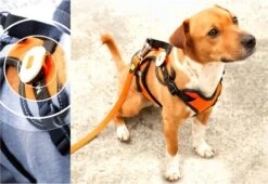 Max & Molly Matrix Ultra Led Honden Veiligheidslicht - Dierenlampje - Zwart -Huisdierbenodigdheden 1200x826 5