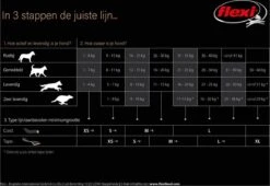 Flexi Giant Tape - Hondenriem - Zwart - M - 8 M - (<8 Kg) -Huisdierbenodigdheden 1200x828 1