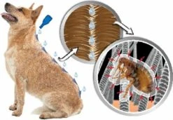 Beaphar DIMETHIcare Line On Kat - Vlooienbestrijding - 6 Pipetten -Huisdierbenodigdheden 1200x831 3