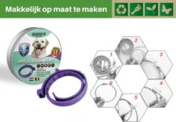 Vlooienband Voor Honden - Paars - 100% Natuurlijk - Vlooien En Teken - Geschikt Voor Alle Honden - Anti Allergie - Zonder Pesticiden 9 Vlooienband Voor Honden - Paars - 100% Natuurlijk - Vlooien En Teken - Geschikt Voor Alle Honden - Anti Allergie - Zonder Pesticiden -Huisdierbenodigdheden 1200x837 3