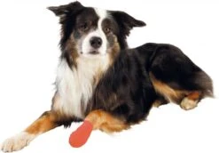 Trixie - Zelfklevend Verband - 5cm 4,5mtr - 4st -Huisdierbenodigdheden 1200x838