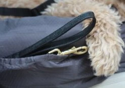 Studio Proud - Honden Autostoel - Autozitje - Automand - Zeer Luxe Hondenmand Voor In De Auto - Comfortabele Honden Autozitje - Antraciet - Zeer Makkelijk Schoon Te Maken - Veilig Auto Bench Voor Puppy En/of Hond -Huisdierbenodigdheden 1200x839