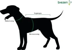 Julius K9 Julius-K9 IDC®Powertuig, XS - Mini-Mini, Camouflage -Huisdierbenodigdheden 1200x842 3