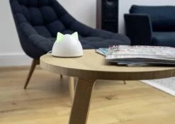 Sureflap Connect HUB -Huisdierbenodigdheden 1200x848 10