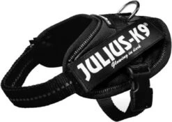 Julius K9 Julius-K9 IDC®Powertuig, S - Mini, Zwart -Huisdierbenodigdheden 1200x850 4