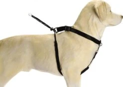 Beeztees Gentle Walker - Hondentuig - Zwart - L -Huisdierbenodigdheden 1200x851 7