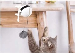 Merkloos Kattenhengel - Elektrisch Kattenspeelgoed - Kattenspeeltjes - Automatische Hengel - Kitten Speelgoed - Interactief Kattenspeelgoed - Bal - Katten - Poesjes - Kitten - Kat - Kattenbal - Kattenspeeltjes Intelligentie 7 Merkloos Kattenhengel - Elektrisch Kattenspeelgoed - Kattenspeeltjes - Automatische Hengel - Kitten Speelgoed - Interactief Kattenspeelgoed - Bal - Katten - Poesjes - Kitten - Kat - Kattenbal - Kattenspeeltjes Intelligentie -Huisdierbenodigdheden 1200x852 12