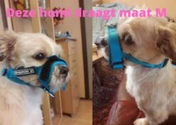 Sharon B Muilkorf Paars Maat M - Fleece - Wasbaar - Reflecterend -Huisdierbenodigdheden 1200x852 3