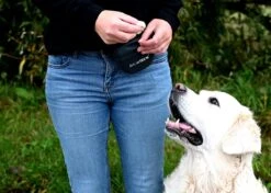 Show Tech - Clip On Treat Pouch - Beloningstasje Voor Honden - Beloningszakje - Heuptas Honden Training -Huisdierbenodigdheden 1200x856 6