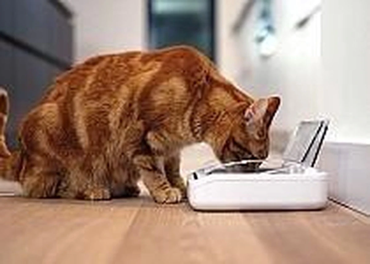 Surefeed Voerbak Afsluitbaar 2 Surefeed Voerbak Afsluitbaar - Afbeelding 2