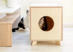 Catandwood Kattenhuis - Kattenbakcontainer - Kattenbak Ombouw - Hout -Huisdierbenodigdheden 1200x857 8
