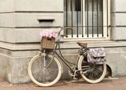 Basil Dorset Fietsmand L - Voor - Rotan - Grijs - Large -Huisdierbenodigdheden 1200x859