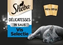 Sheba Delicatesse Katten Natvoer - Vis - 40 X 85 Gr -Huisdierbenodigdheden 1200x863 9